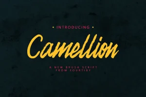 Camellion Brush Font