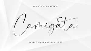 Camigata Font › Fontesk
