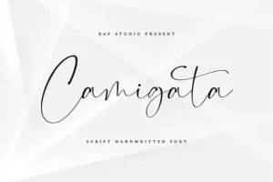 Camigata Handwritten Font