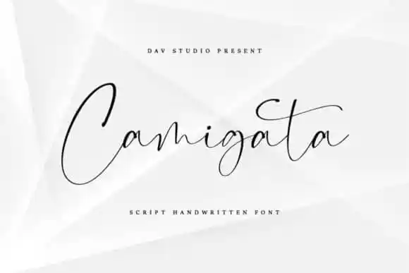 Camigata Handwritten Font