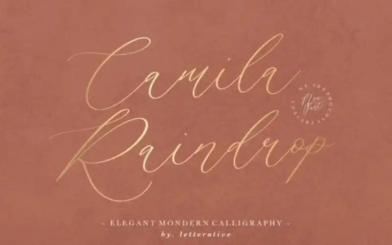Camila Raindrop Script Font