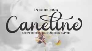 Caneline Font › Fontesk