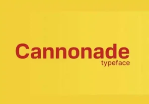 Cannonade Sans Serif Font