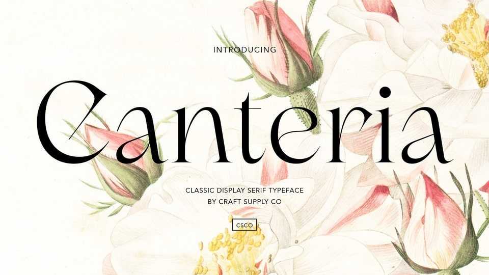 Canteria Font › Fontesk