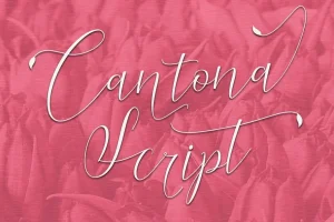Cantona Script Font