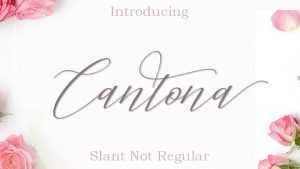 Cantona Script Font › Fontesk