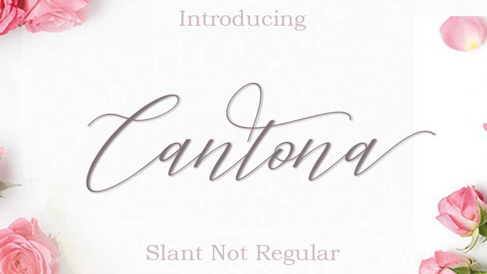 Cantona Script Font › Fontesk
