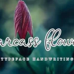Carcass Flower Font - Fonte Grátis Carcass Flower Font