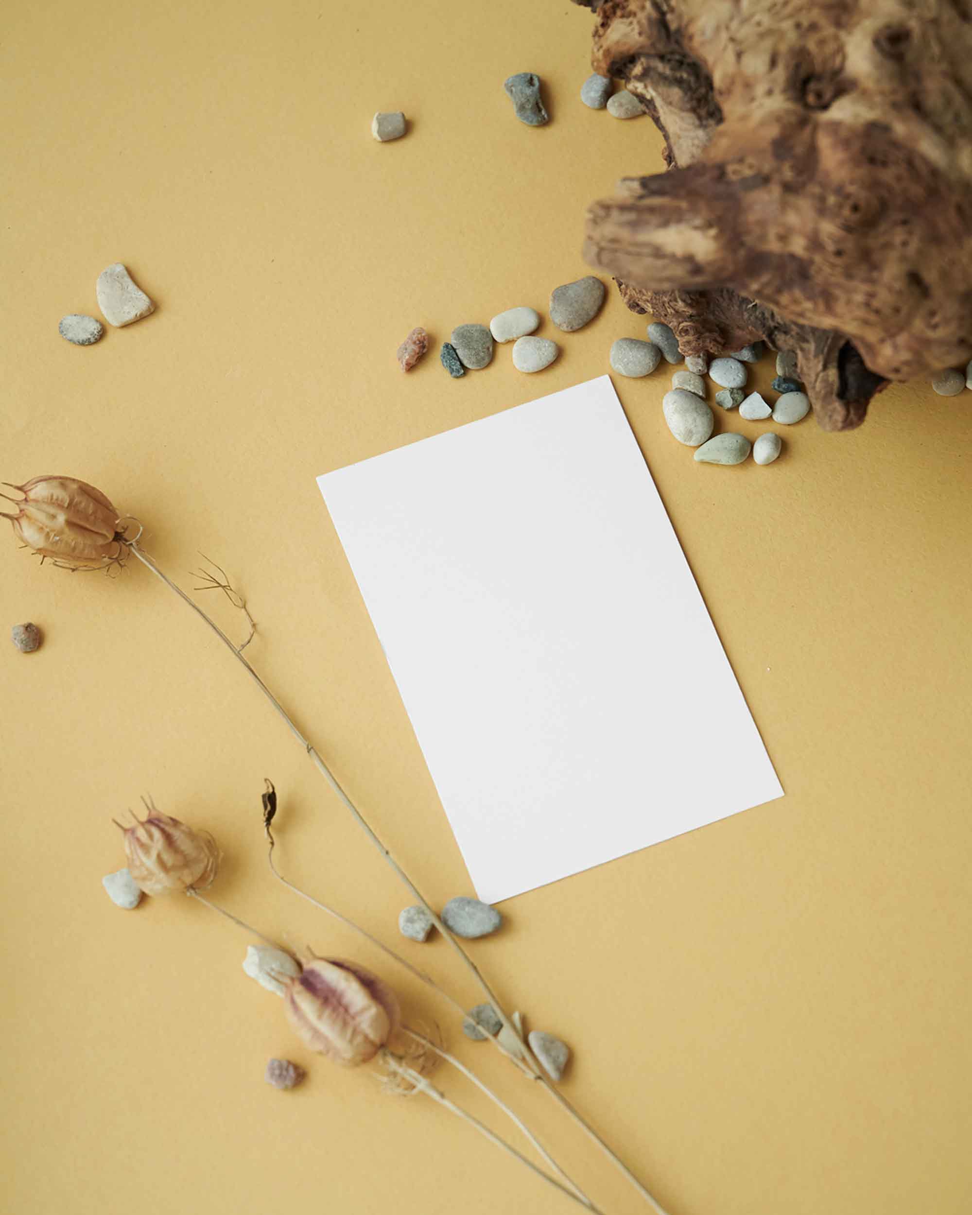 Card Presentation Mockups