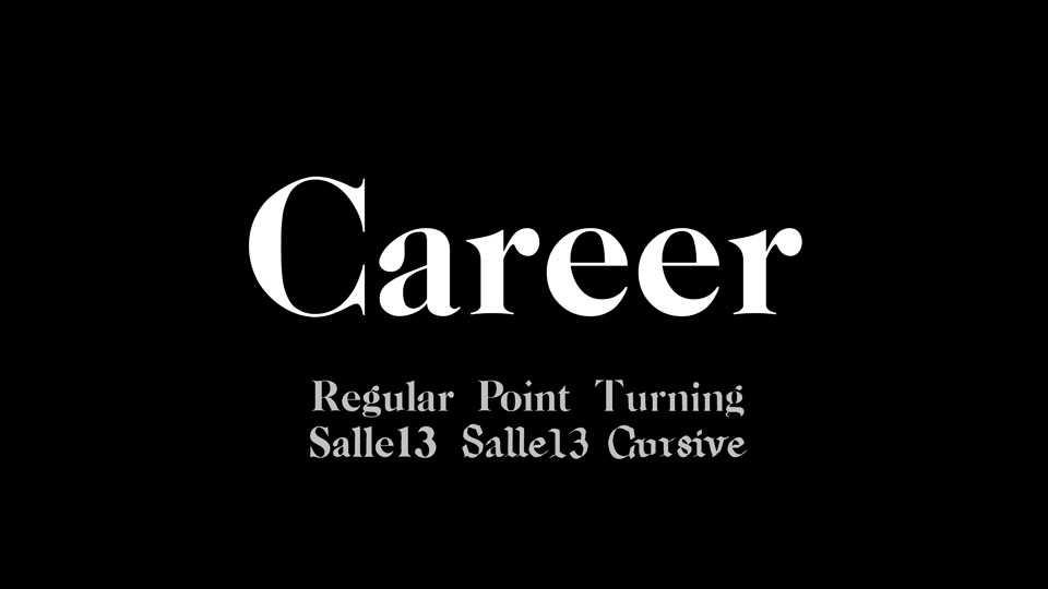 Career Font Family › Fontesk