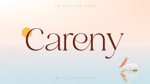 Careny Font › Fontesk