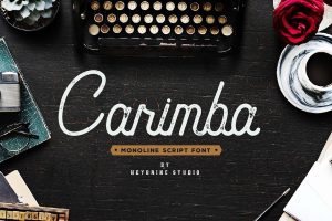 Carimba Vintage Monoline Script