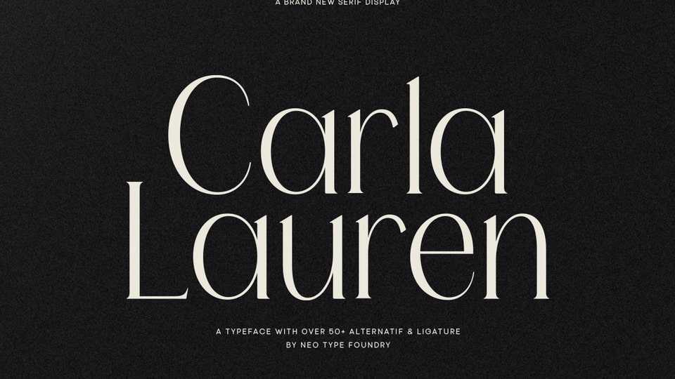 Carla Lauren Font › Fontesk