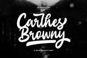 Carlhes Browny Bold Script Font