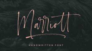 Carlinet Script Font › Fontesk