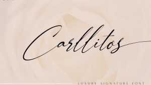 Carllitos Font › Fontesk