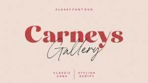 Carneys Gallery Font Duo › Fontesk