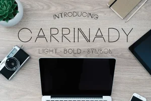 Carrinady Typeface