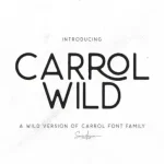 Carrol Wild Sans Serif Font
