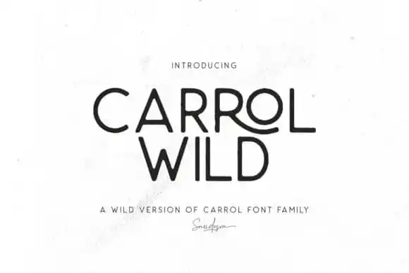 Carrol Wild Sans Serif Font