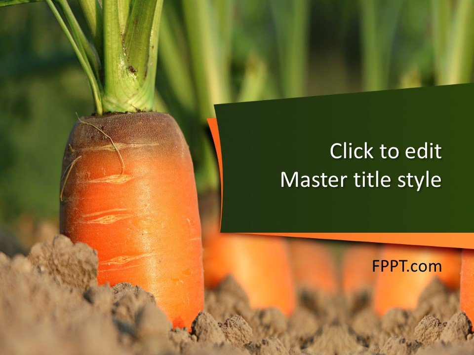 Carrot PowerPoint Template