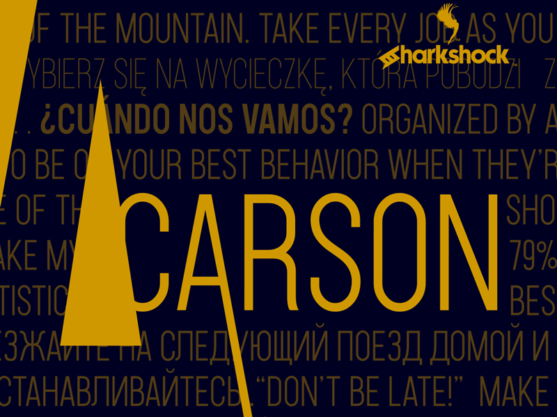 Carson Font Family