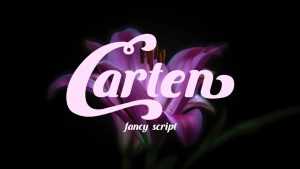 Carten Font › Fontesk