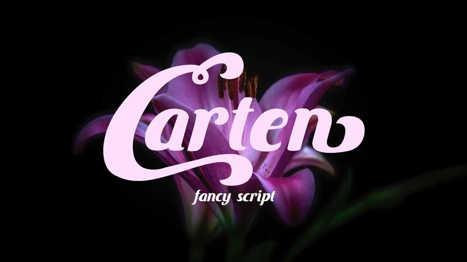 Carten Font › Fontesk