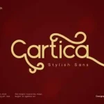 Cartica Sans Serif Font