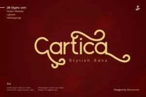 Cartica Sans Serif Font