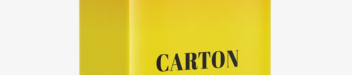 Carton box mockup