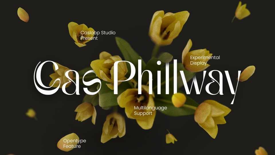 Cas Phillway Font › Fontesk