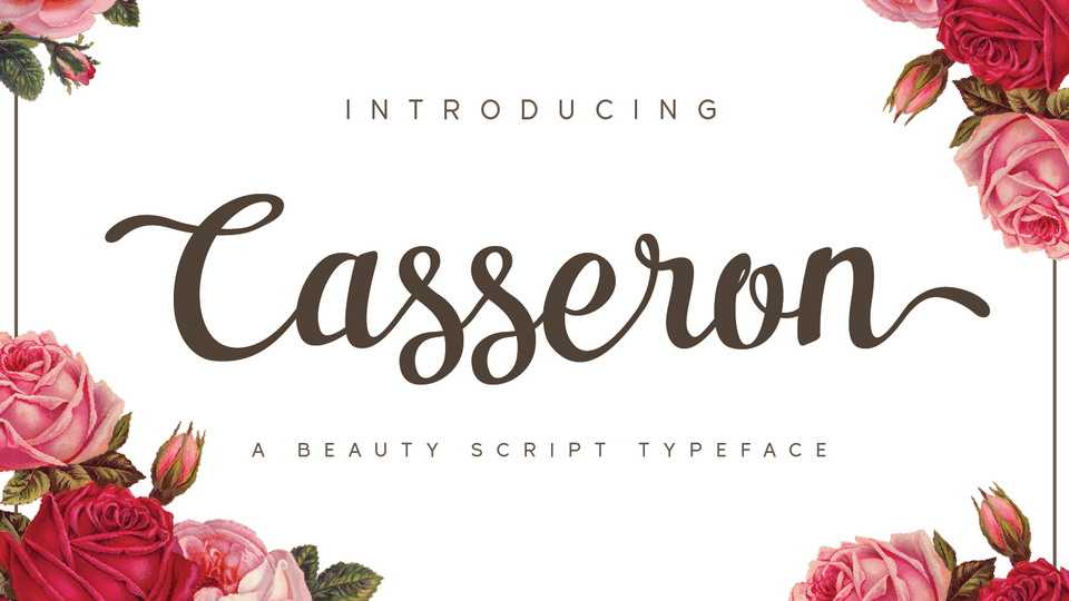 Casseron Script Font › Fontesk