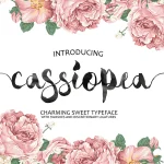 Cassiopea Brush Font