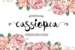 Cassiopea Brush Font