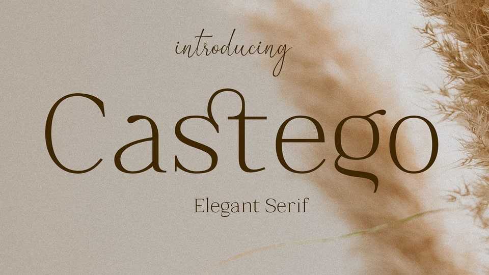 Castego Font › Fontesk