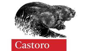 Castoro Font Family › Fontesk