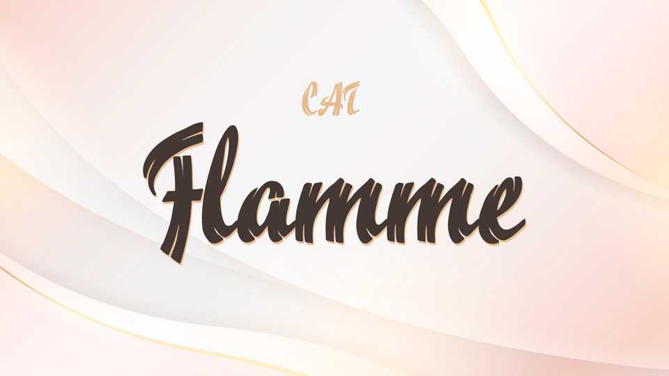 CAT Flamme Font › Fontesk