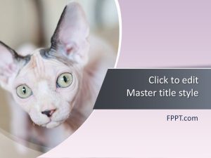 Cat PowerPoint Template
