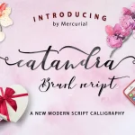 Catandra Brush Script Font