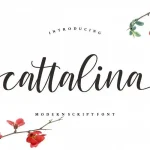 Cattalina Script Font