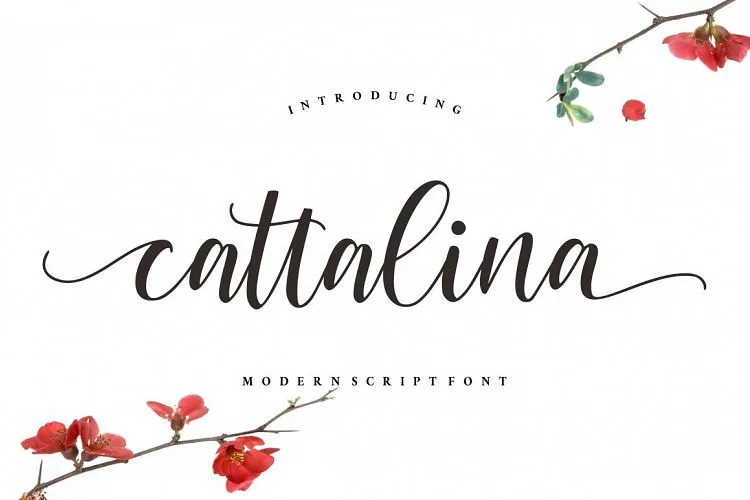 Cattalina Script Font