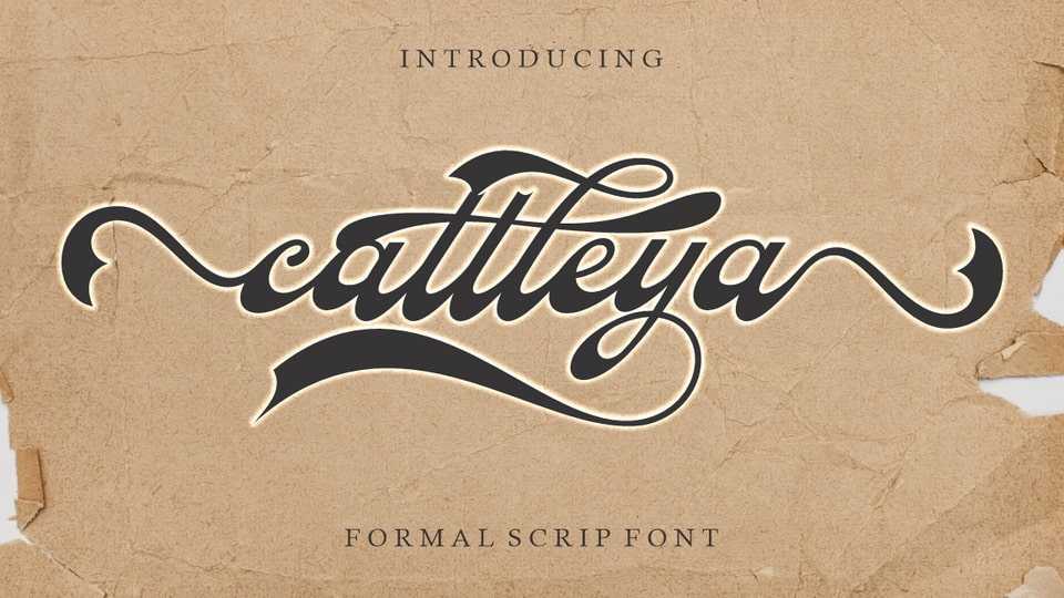 Cattleya Font › Fontesk