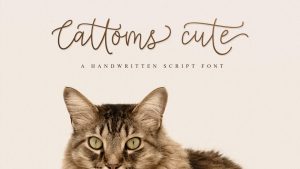 Cattoms Cute Font › Fontesk