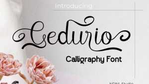 Cedurio Font › Fontesk