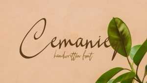 Cemaniey Font › Fontesk