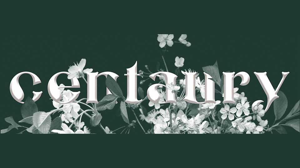 Centaury Font Family › Fontesk