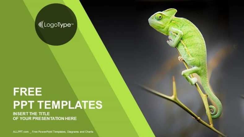 Chameleon Sitting on Green Plant-Nature PPT Templates