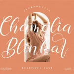Chamelia Blinkar Font