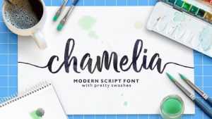 Chamelia Script Font › Fontesk
